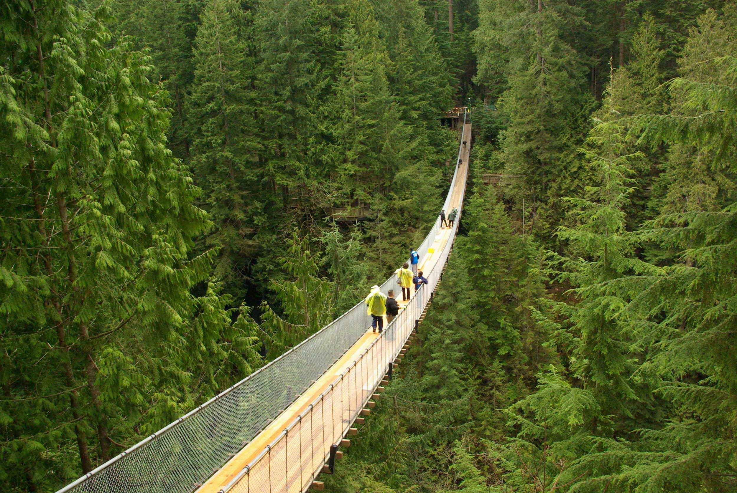 Capilano Suspension Bridge Canada 2024 Update - Gates Joellen