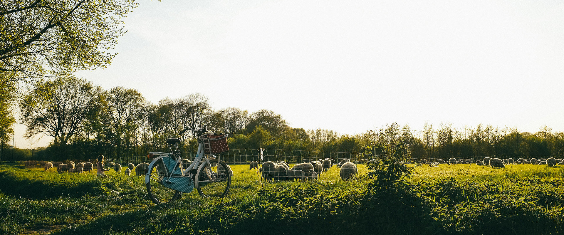 20 endroits à visiter en 2020 : les Pays-Bas