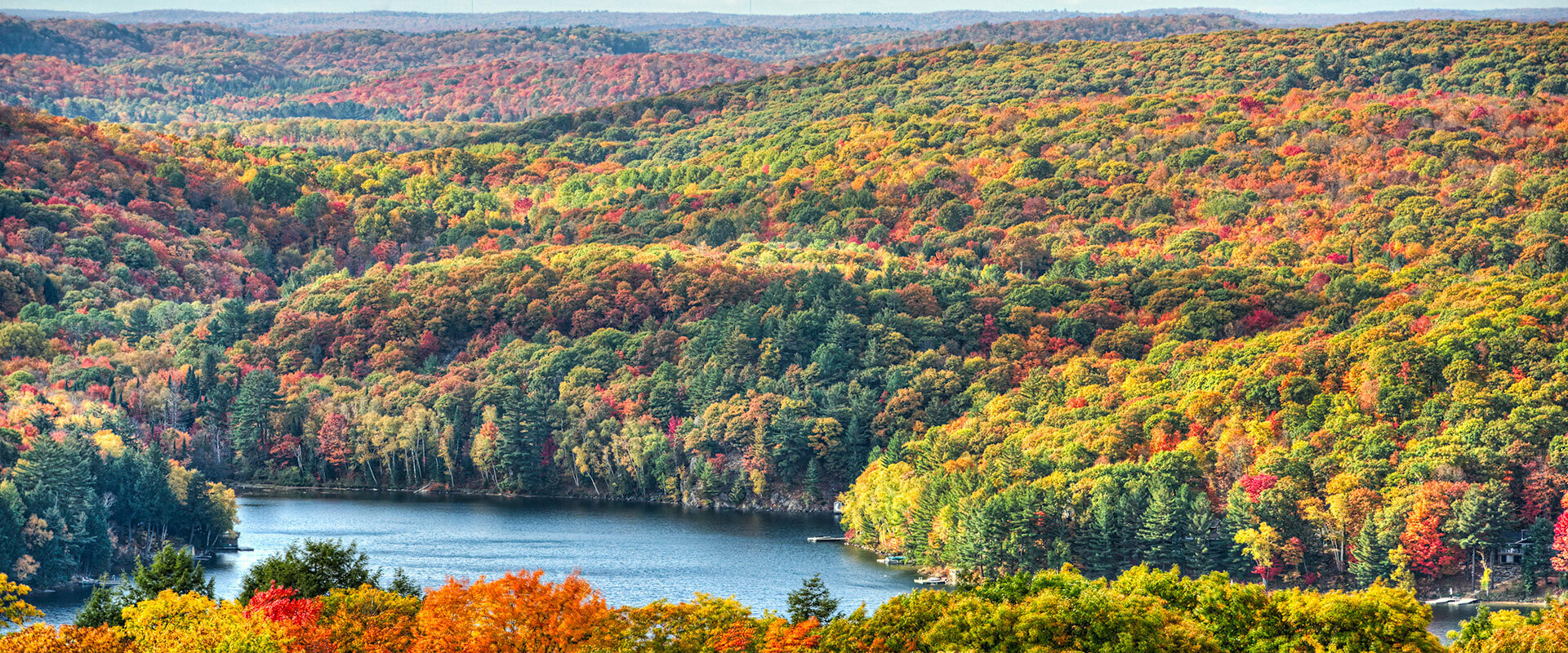 Algonquin Park Fall