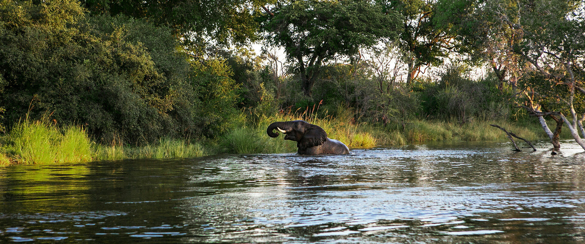 Les plus beaux pays d'Afrique où voyager