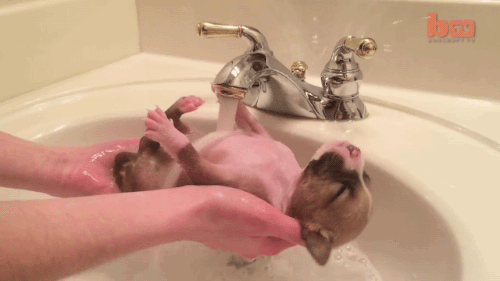 Epic Shower