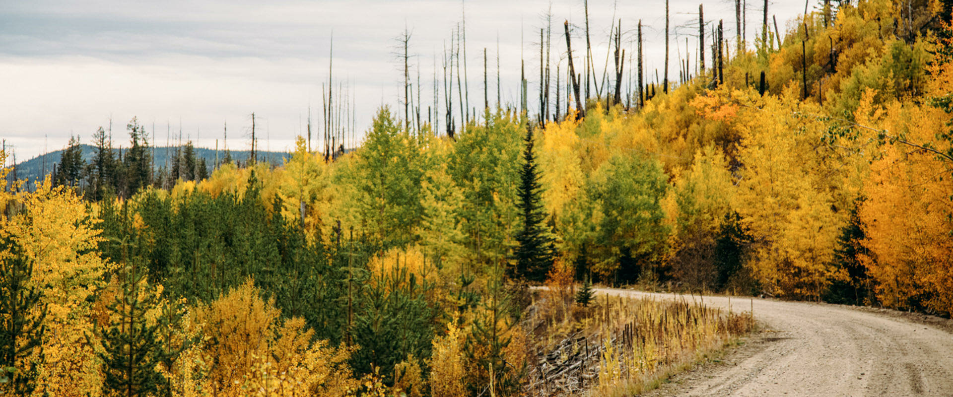 Hicanada Kettle Valley Rail Trail 4
