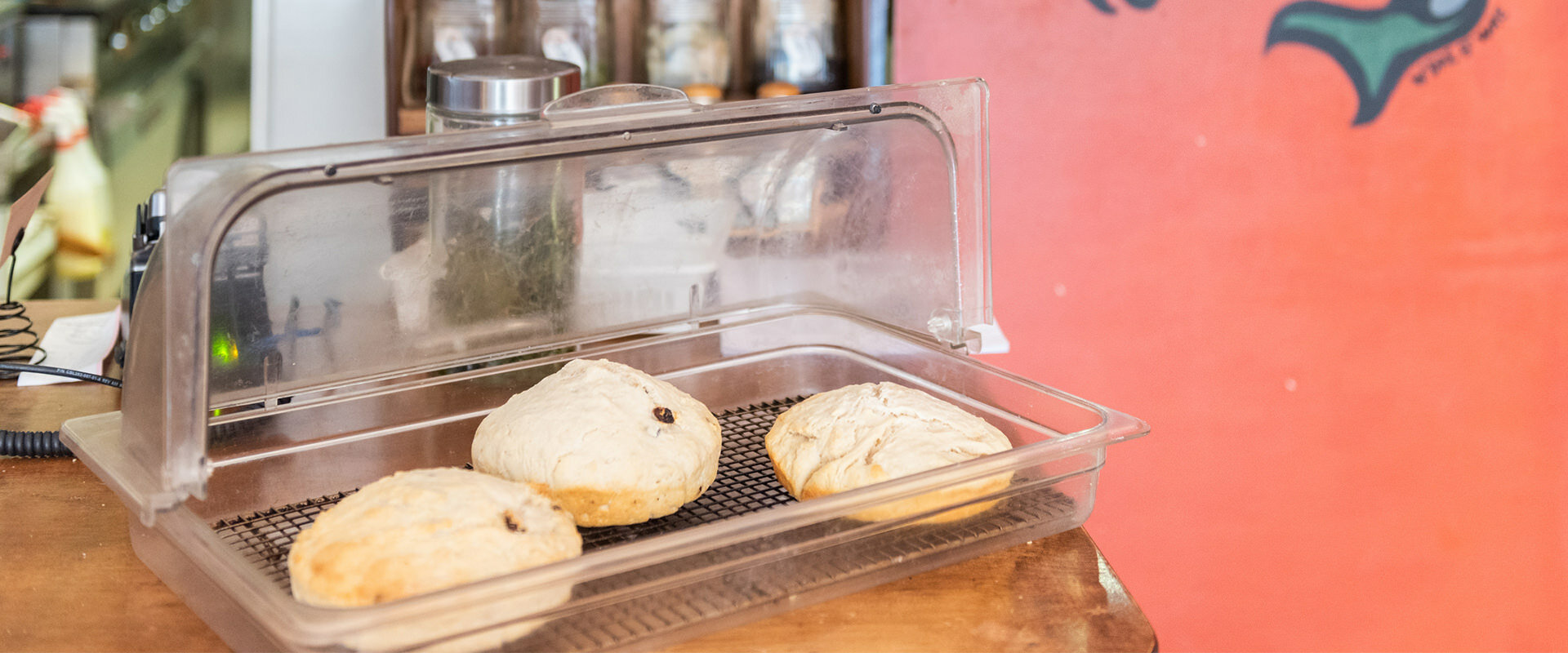 Cozy Canadian Food Bannock