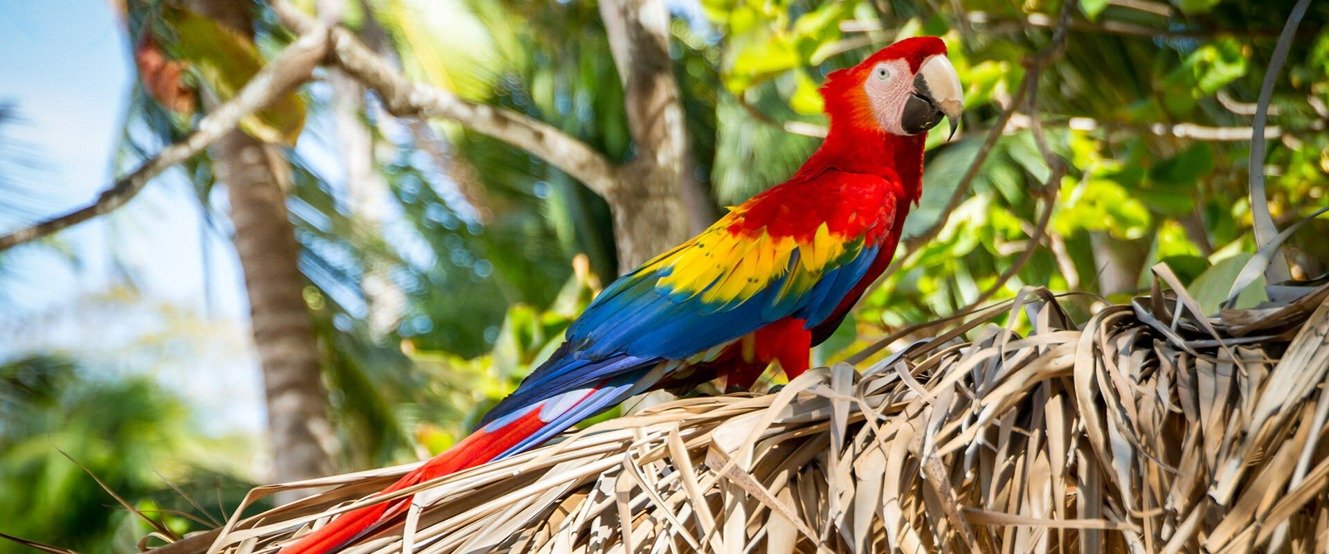 Costa Rica, one of the most eco-friendly destinations to visit