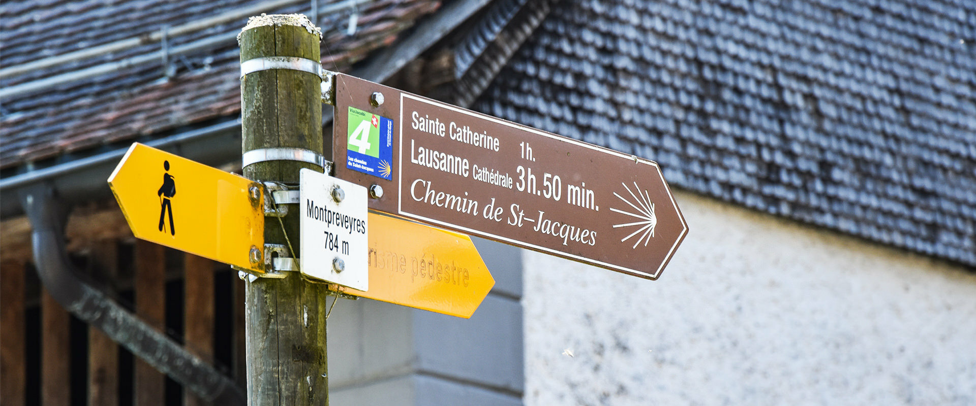 Les blessures sur le chemin de Compostelle