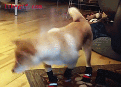 Wool Socks