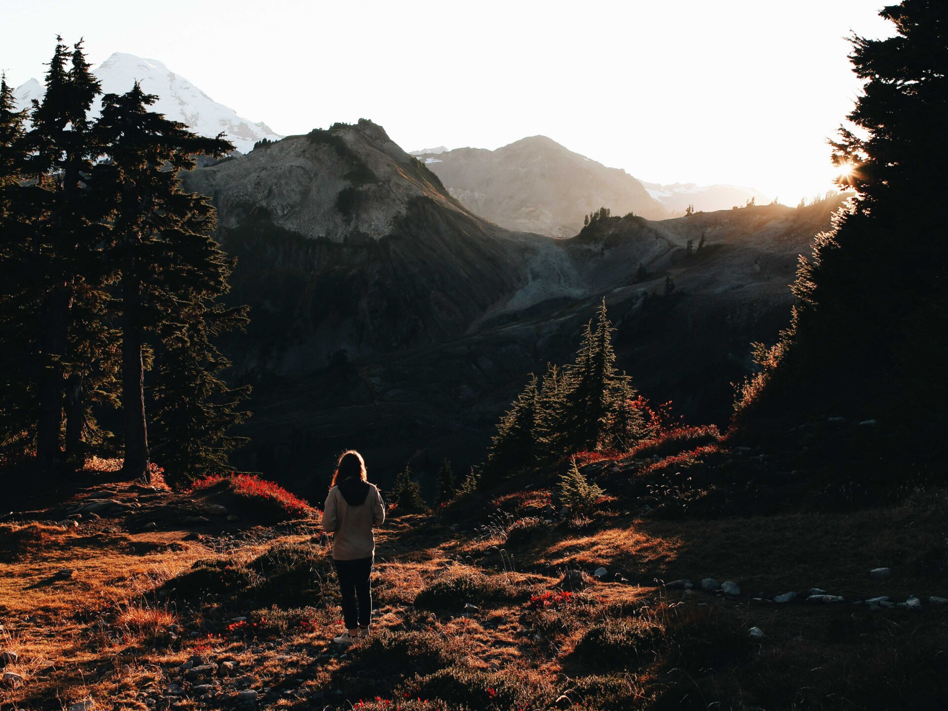 Fall Walk Unsplash
