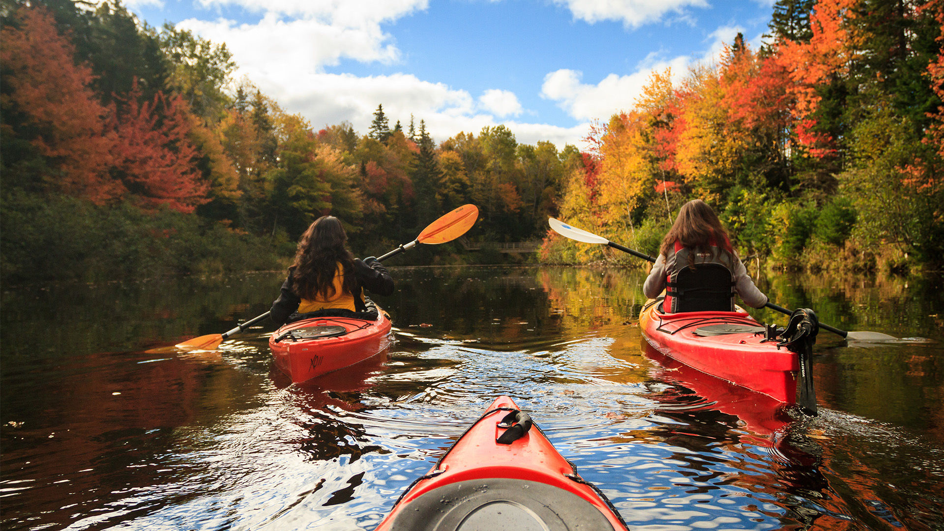 13-free-or-cheap-things-you-gotta-do-this-fall-in-canada