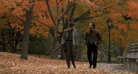 Go for a city stroll during fall in Canada