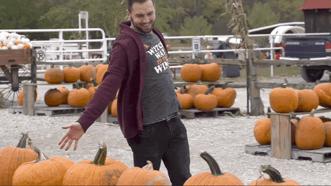 Pumpkin patch during fall in Canada