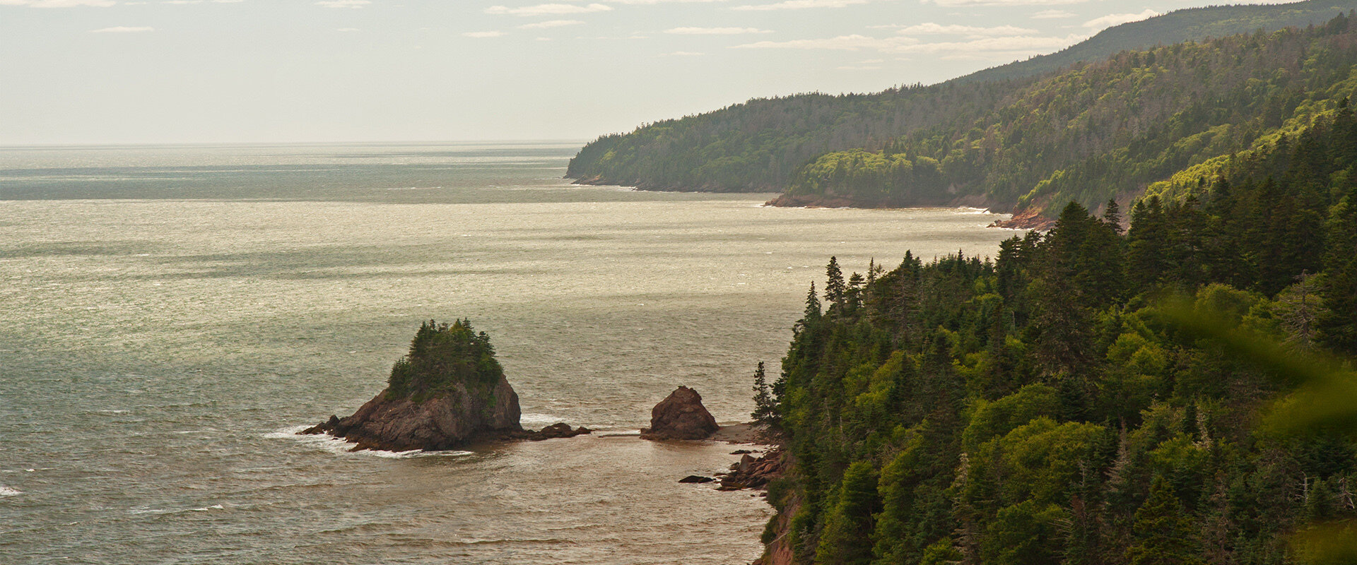 Matthews head, one of the best hikes in New Brunswick