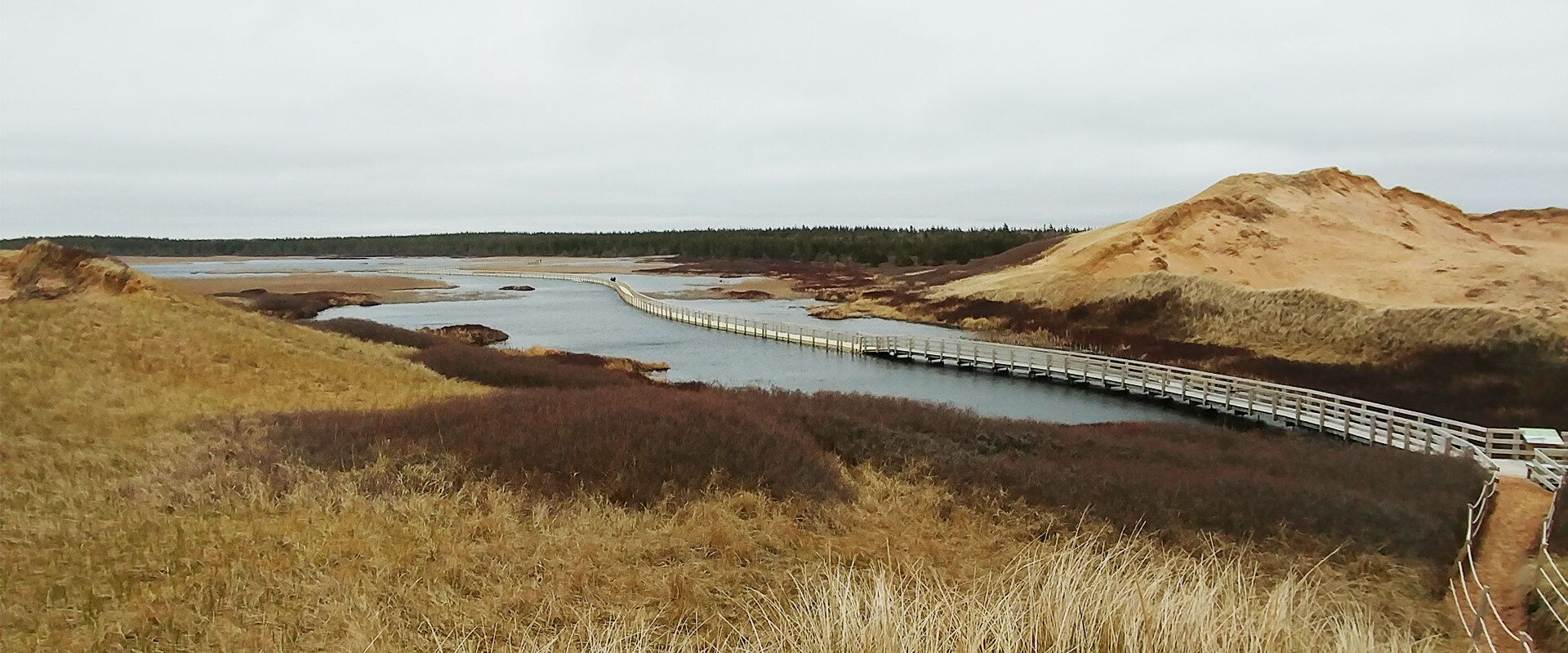 The Greenwich Dunes, one of the best hikes in Prince Edward Island