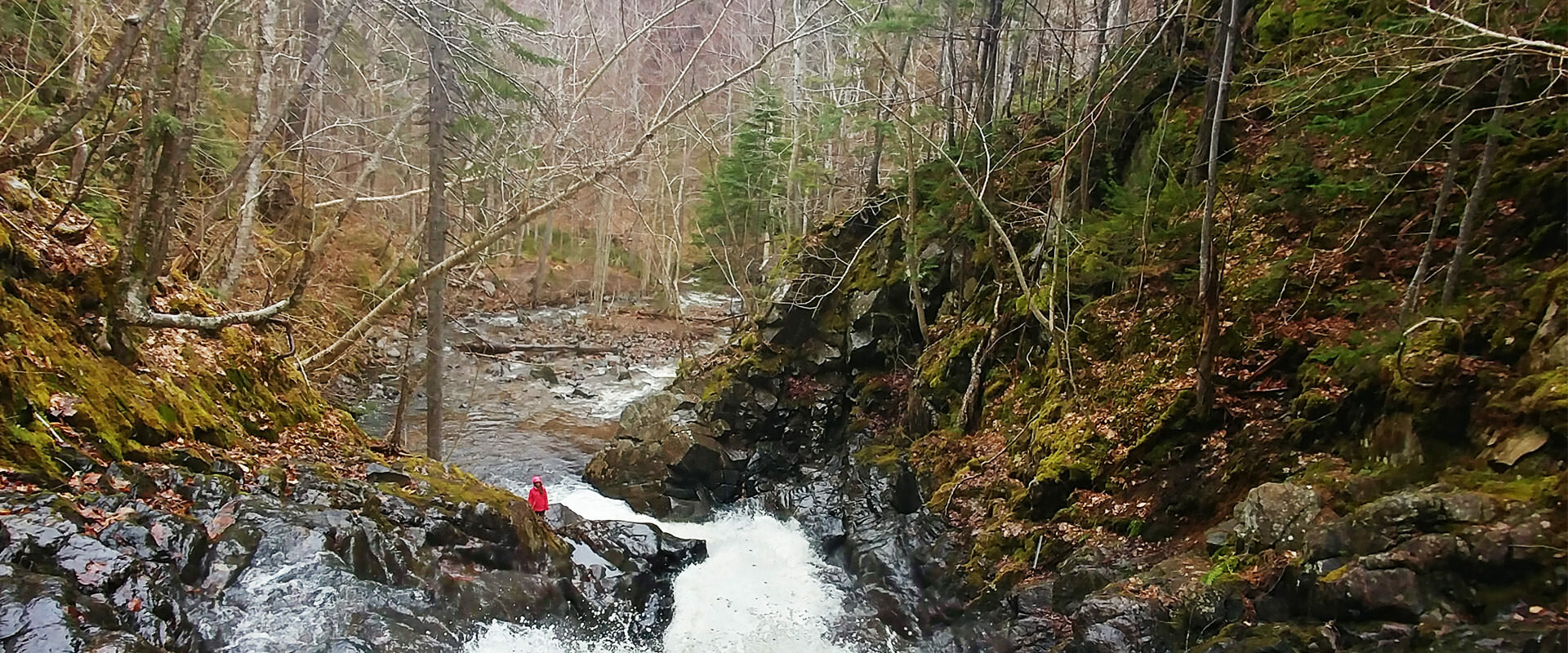 Macintosh Brook, one of the best hikes in Nova Scotia