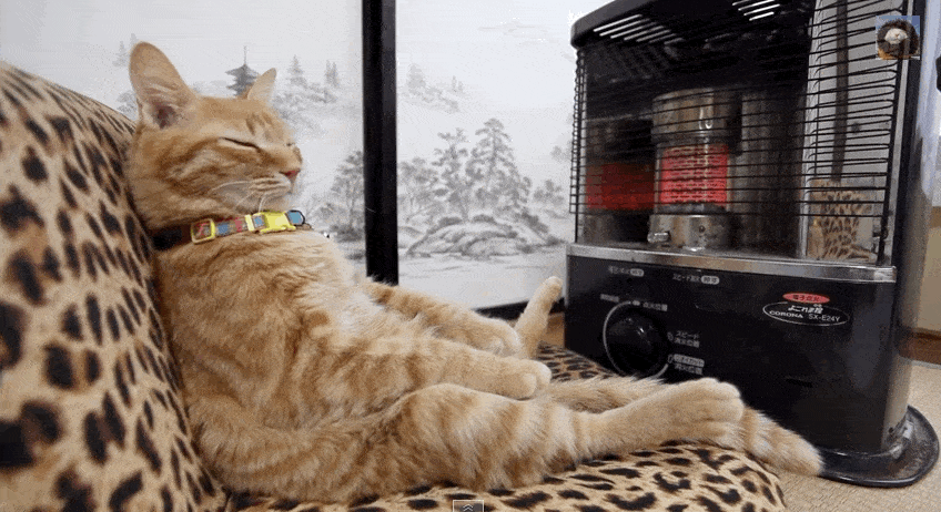 How To Practice Self Care While Travelling 1