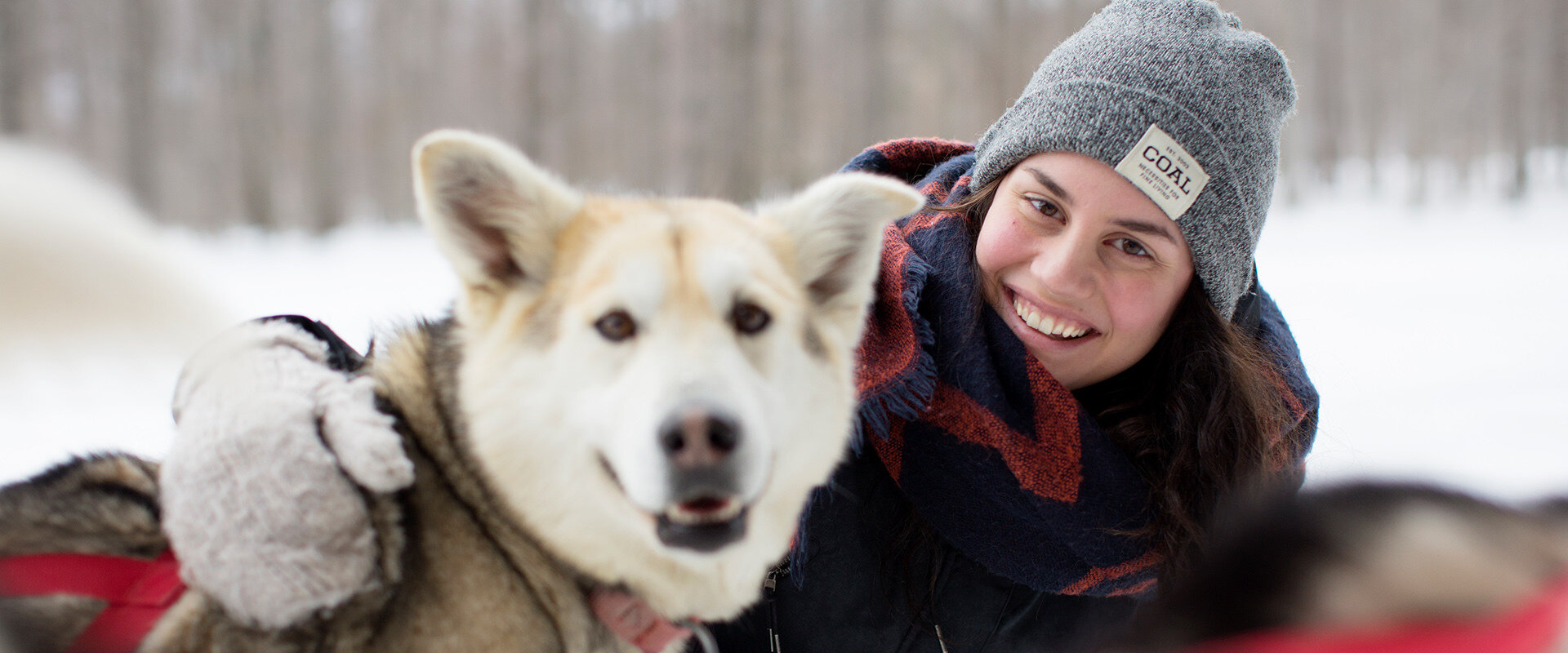 Dog-Sledding in Jasper National Park, Alberta, Canada