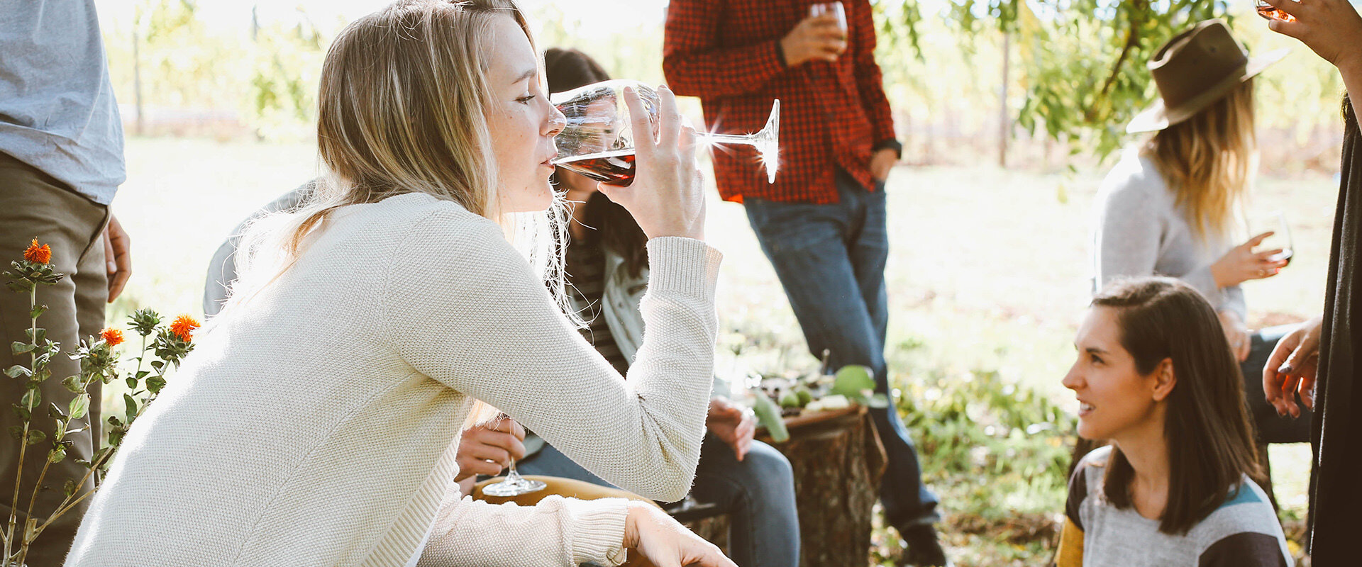 RoadTrip in Quebec: discover La Route des Vins