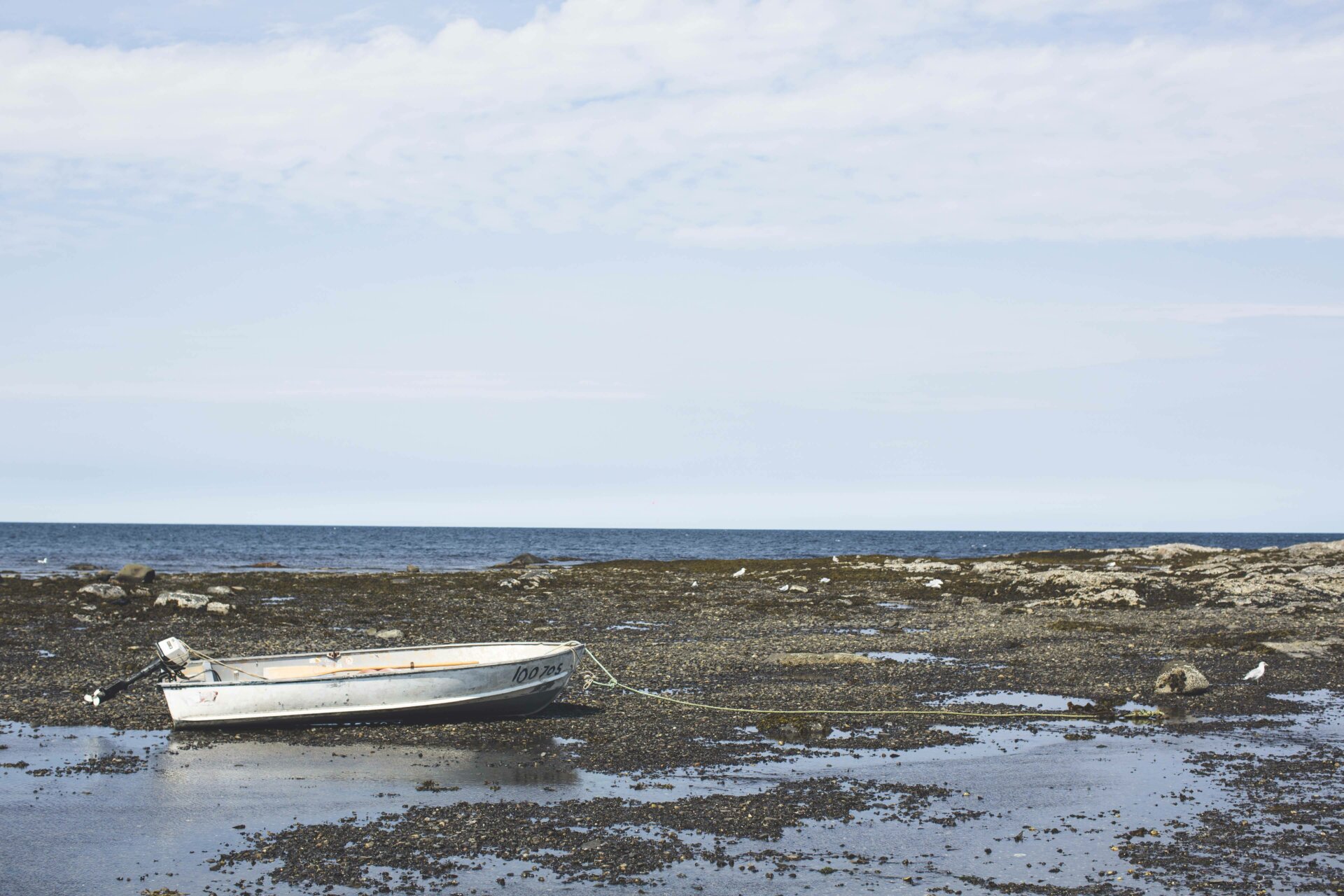Roadtrip in Gaspesie: what to see