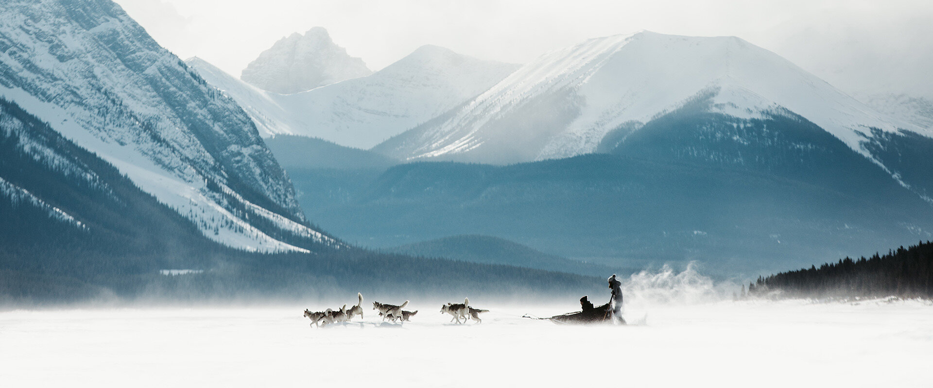 Virtual Visit In Canada: Dogsledding in Kananaskis