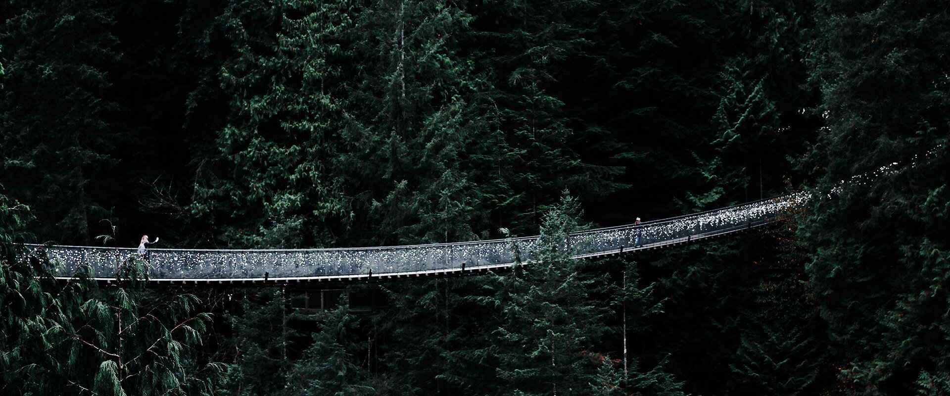 Capilano suspension bridge hike, one of the most famous around Vancouver