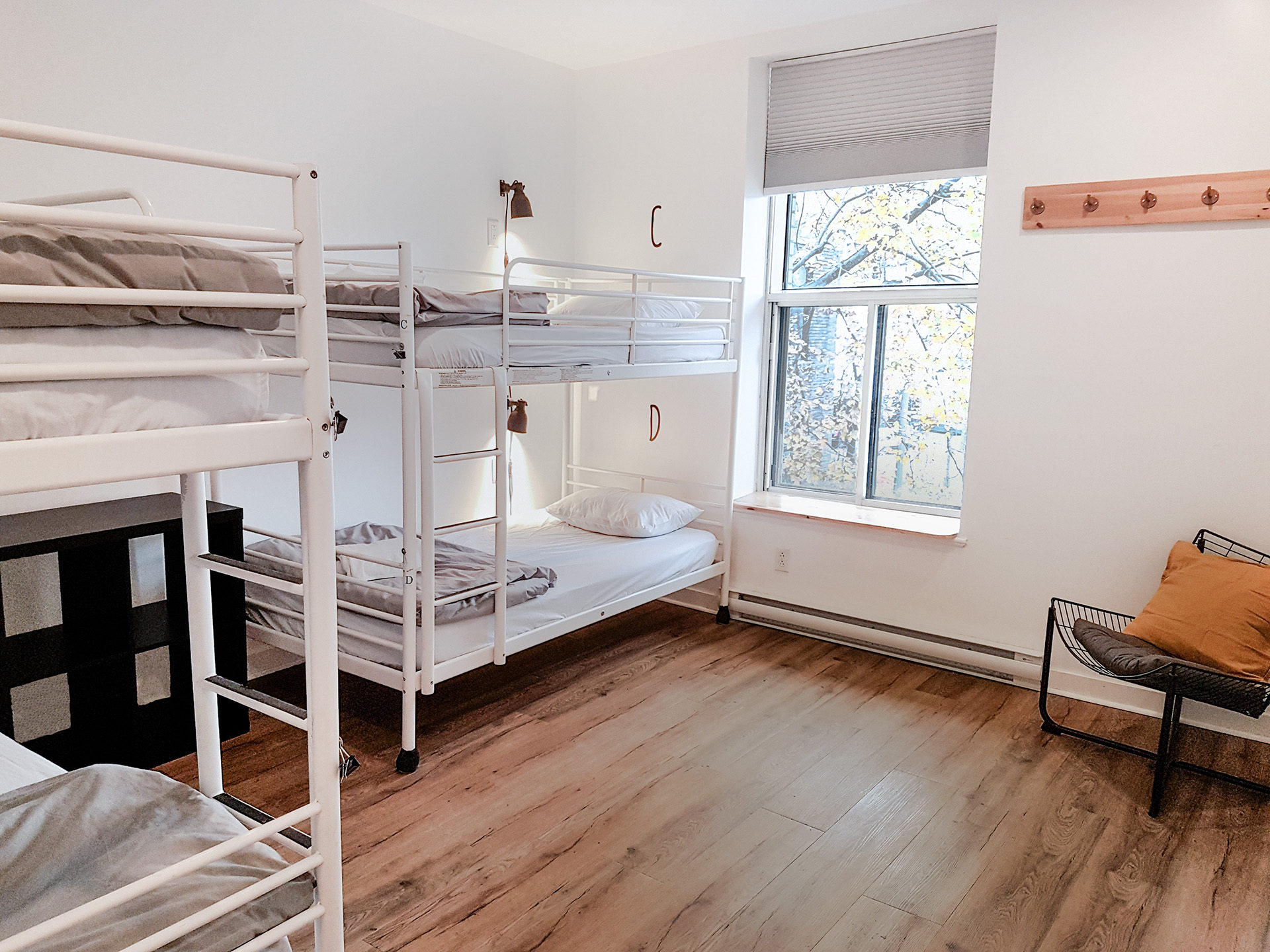 19 free or cheap things to do in Montreal