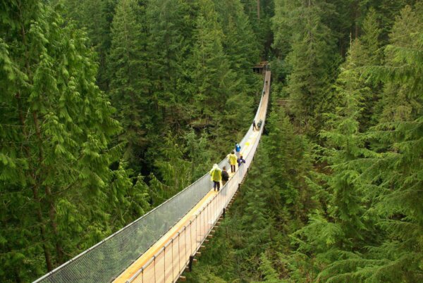 Capilano Suspension Bridge - Bras Across the Bridge