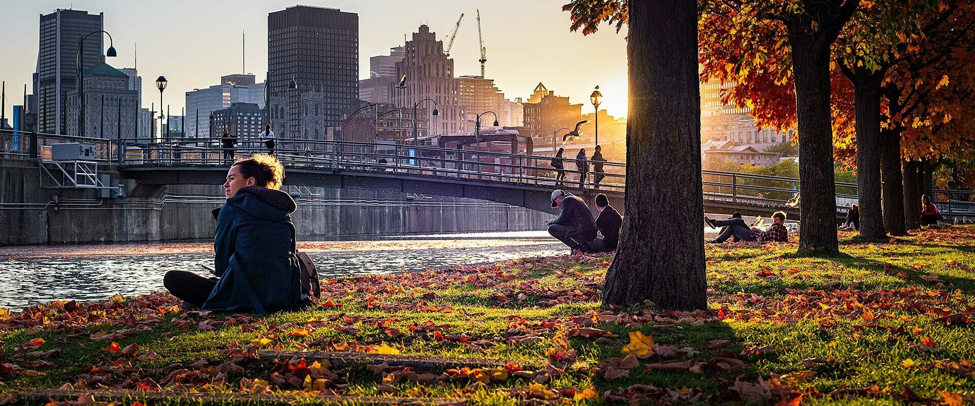 44738 Credit Fr © Freddy Arciniegas @arcpixel Tourisme Montréal En Credit © Freddy Arciniegas @arcpixel Tourisme Montréal