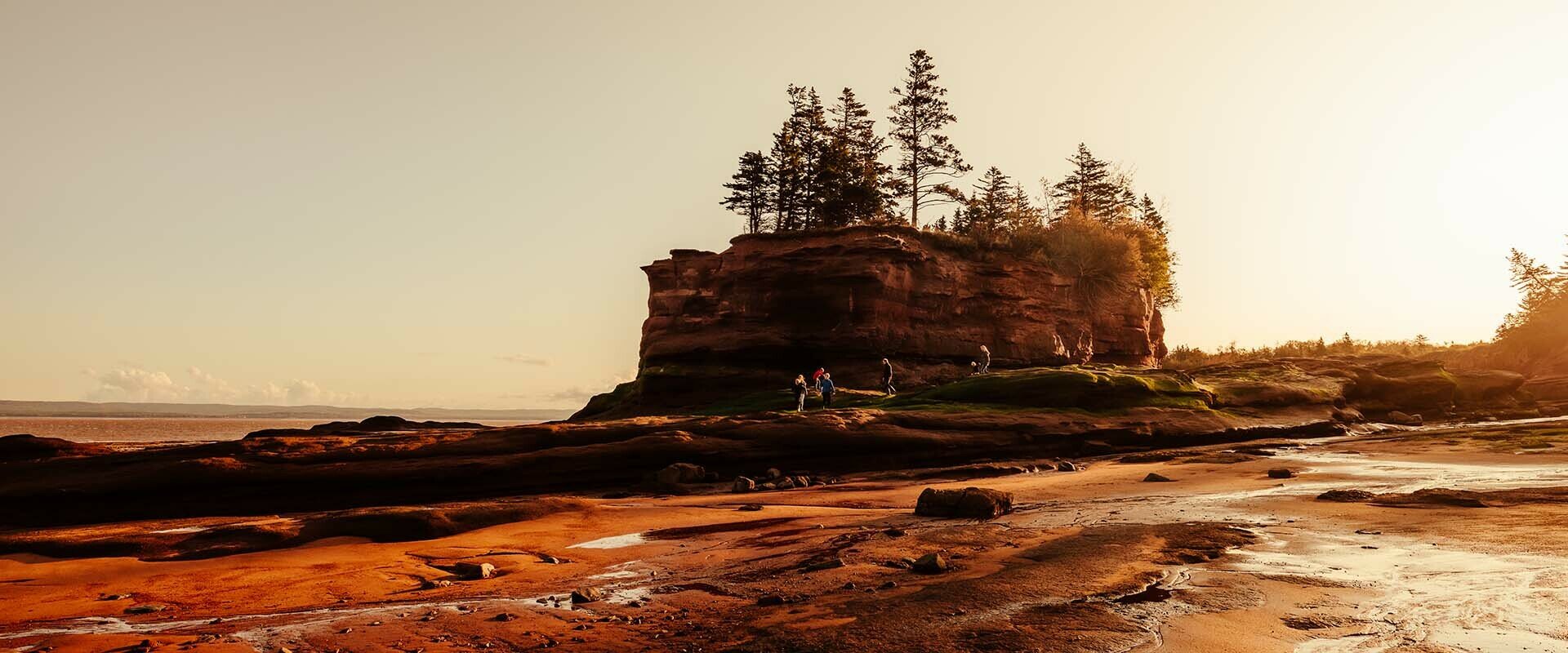 © Destination Canada Ns Burncoast Head Park 4446