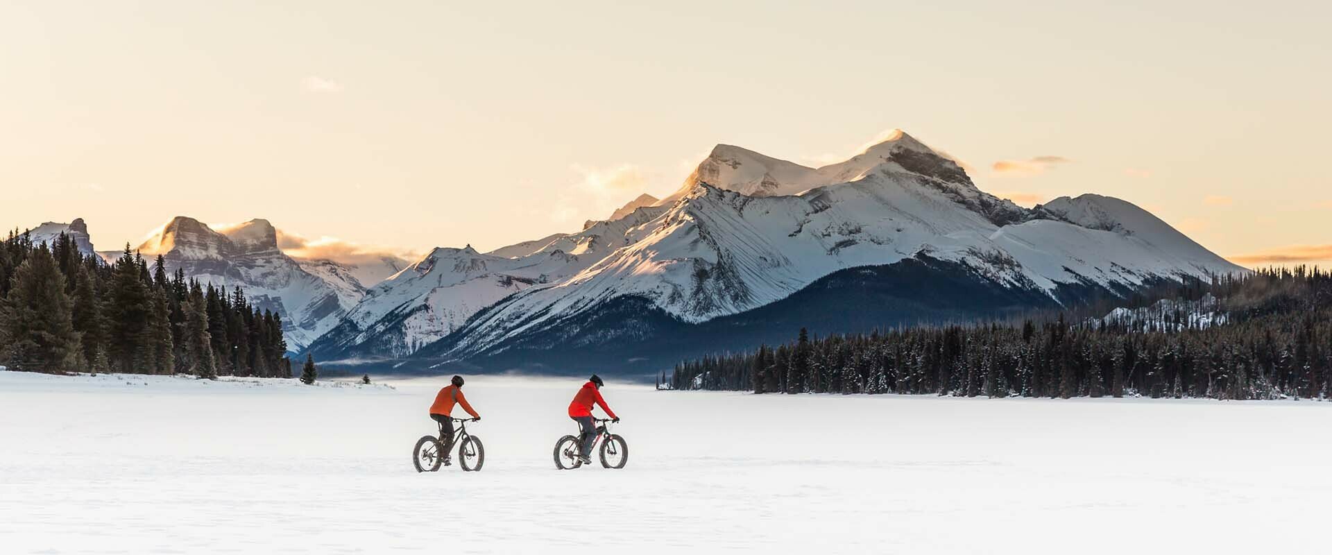 Fat bike in Alberta