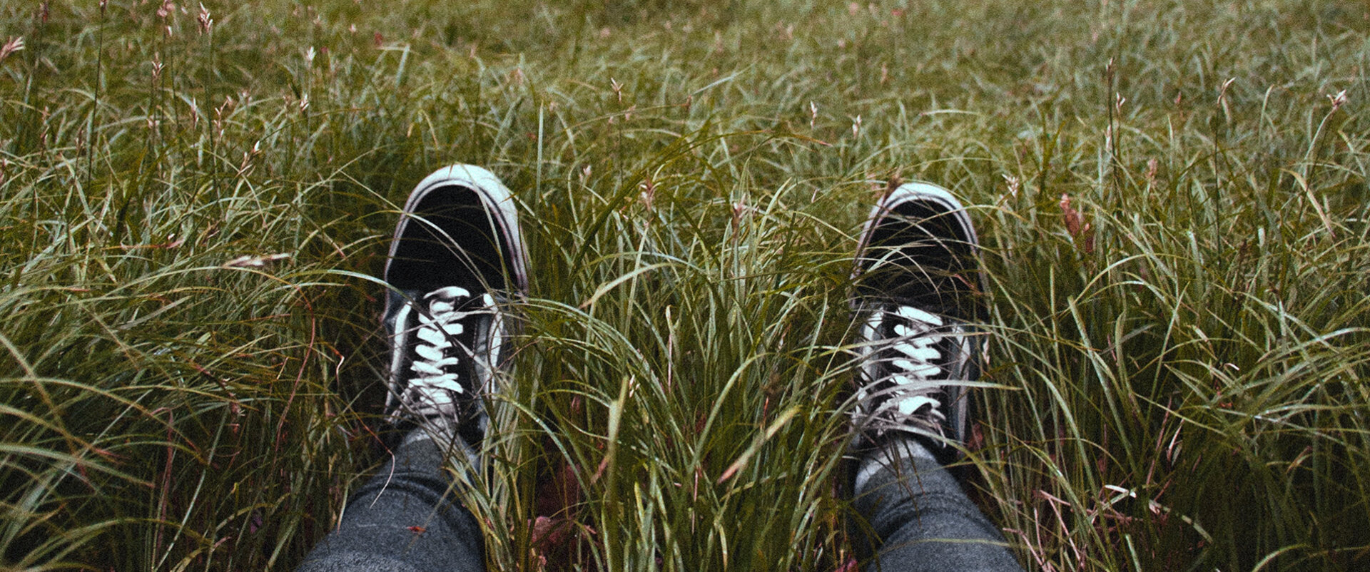 Grass