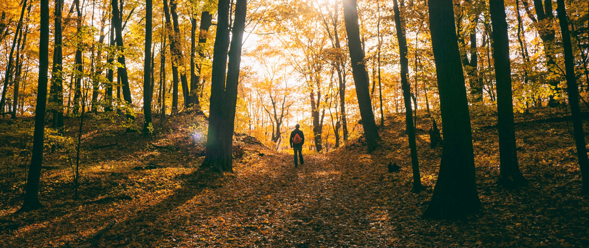 Unsplash / Aaron Burden