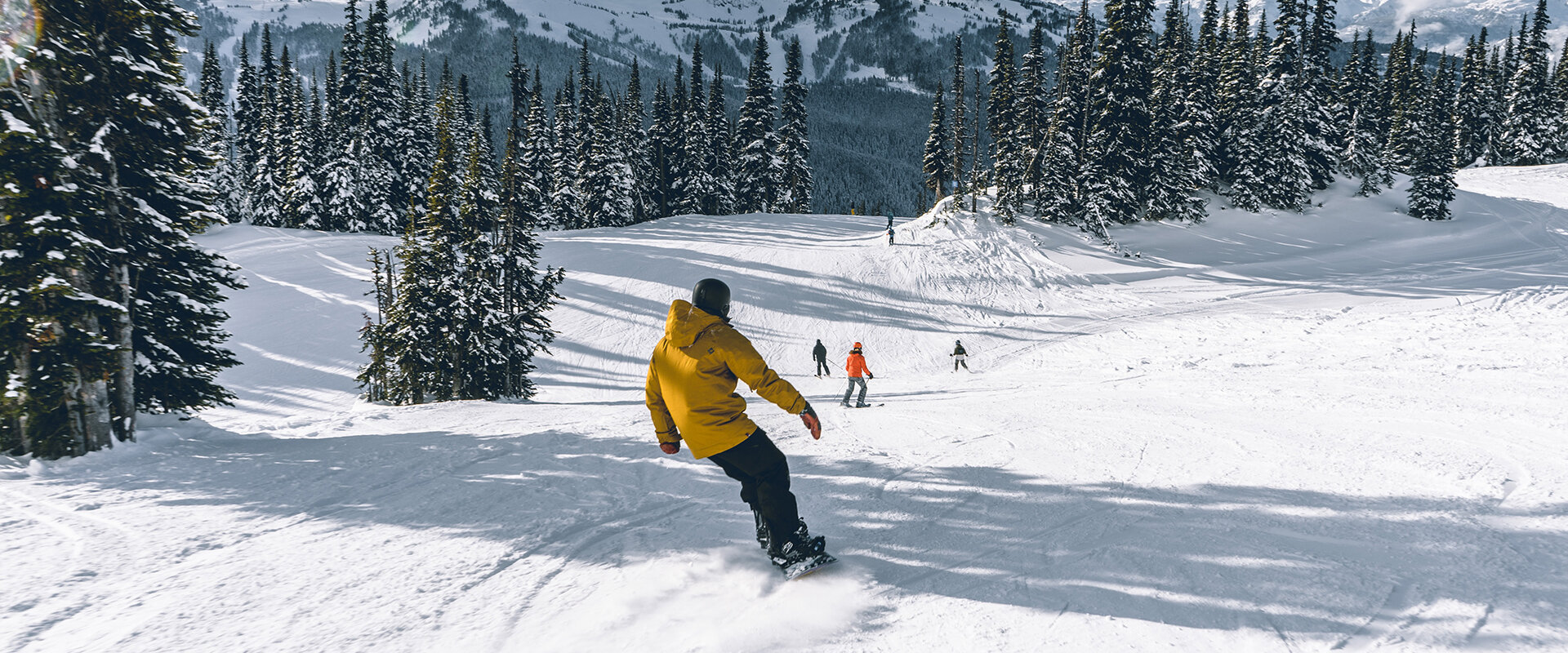Unsplash / Benjamin Hayward