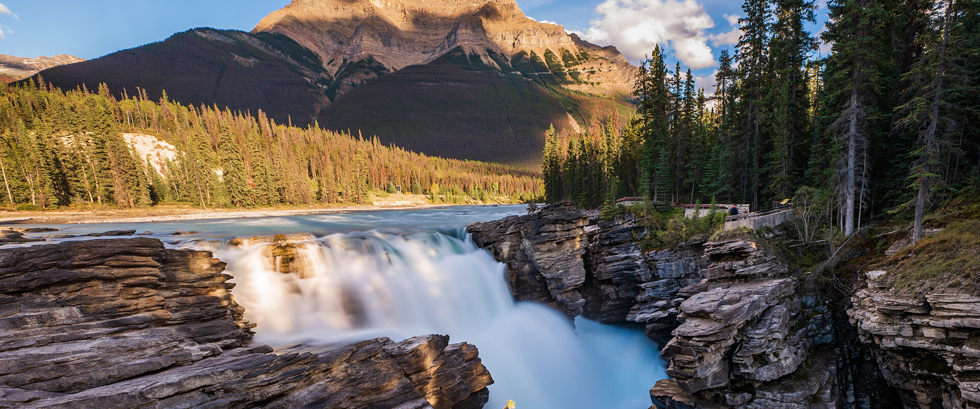 James wheeler athabasca falls