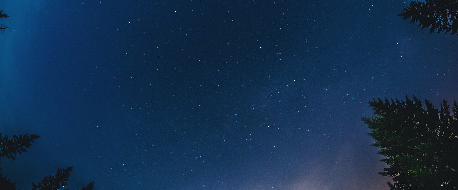 Samson SQ3cpj Fhy84 unsplash