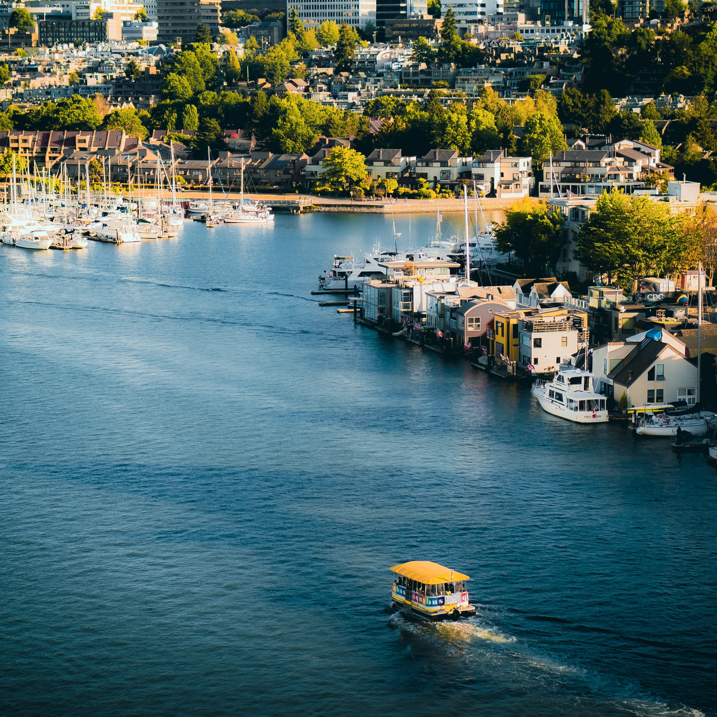 Pexels erwin cachin 13950516