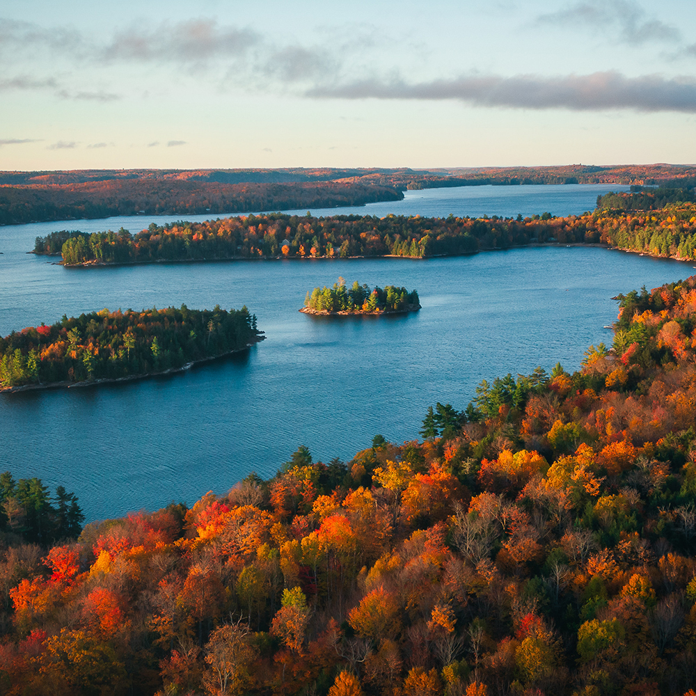 Derek sutton uou H1b Gxee U unsplash