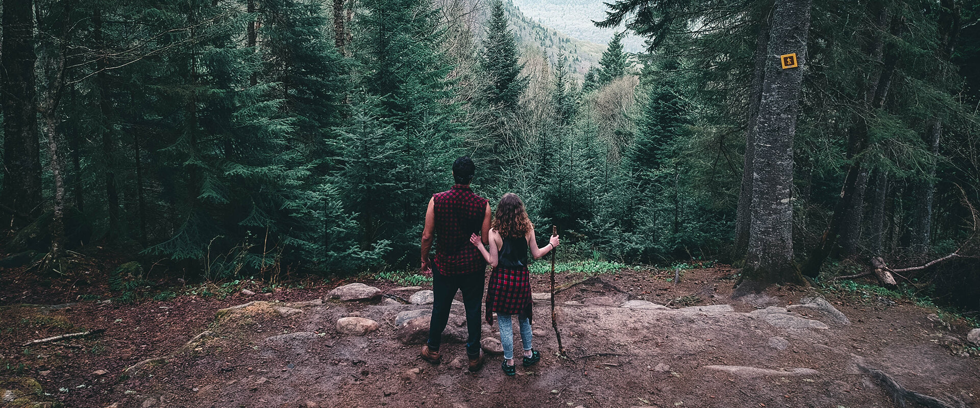 Ali kazal Y Tcht4oxkxg unsplash