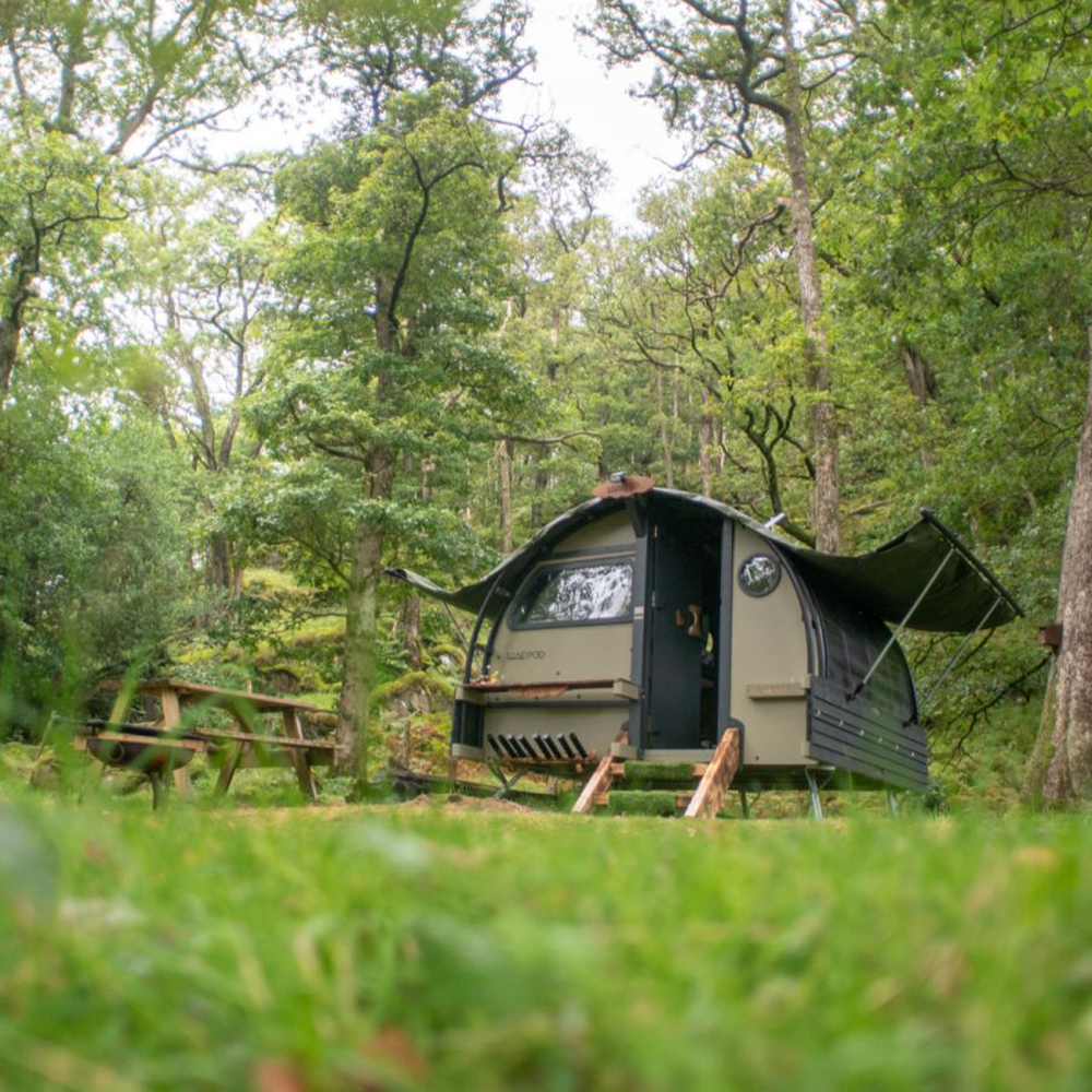 Landpod forest