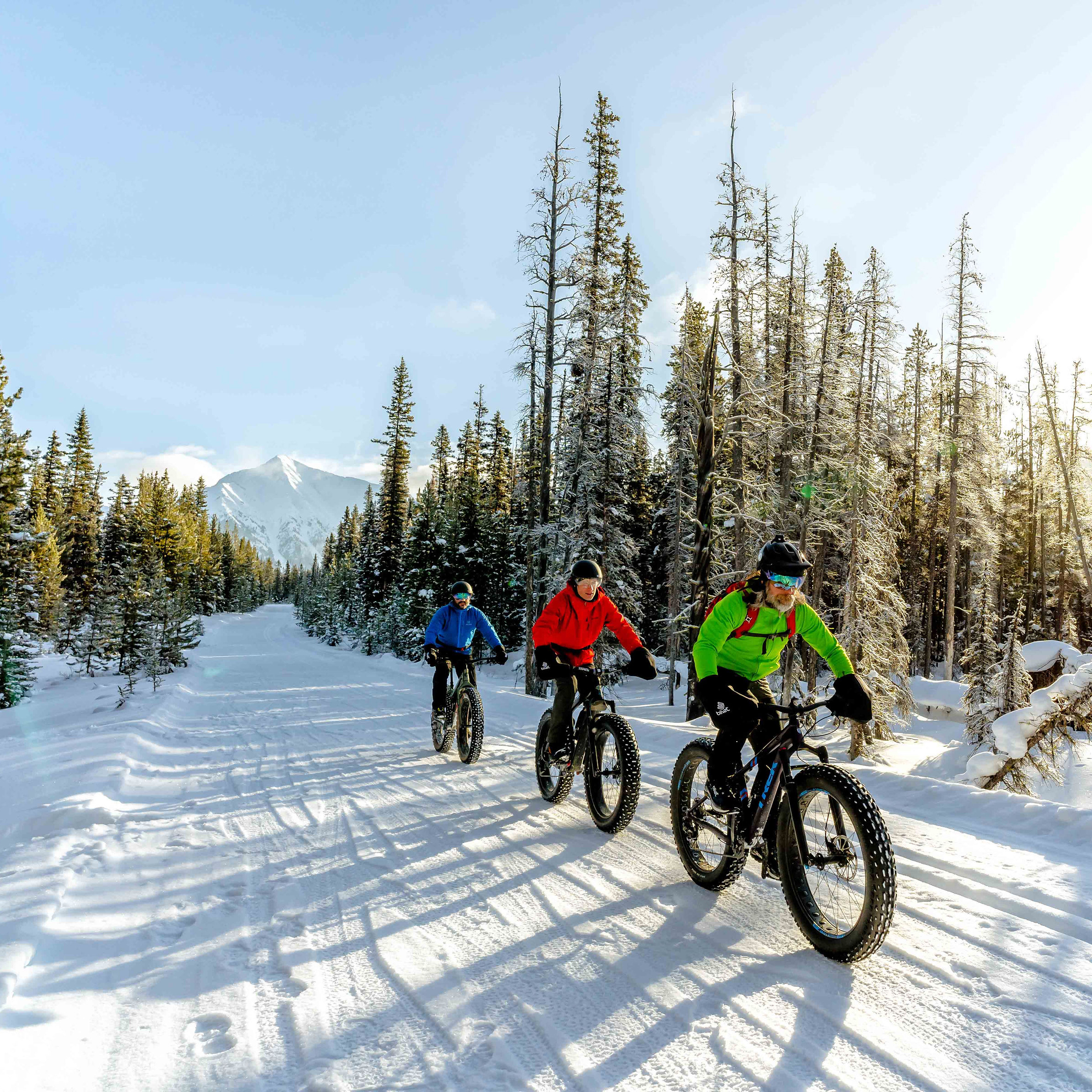 Cycling 101 Karl Lee