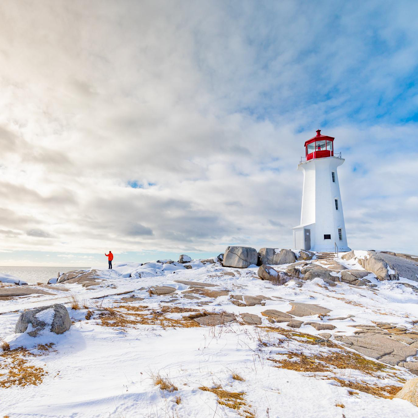 Toursim Nova Scotia Acorn Art