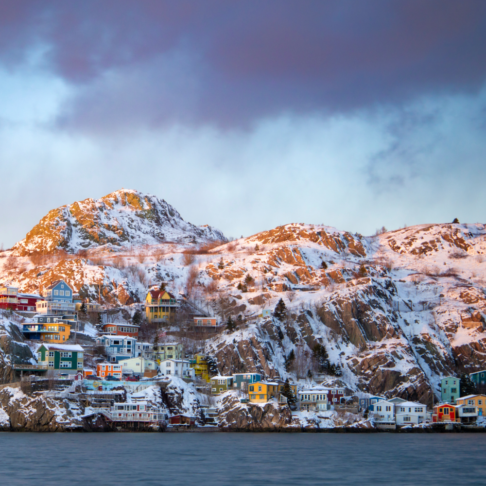 Newfoundland winter