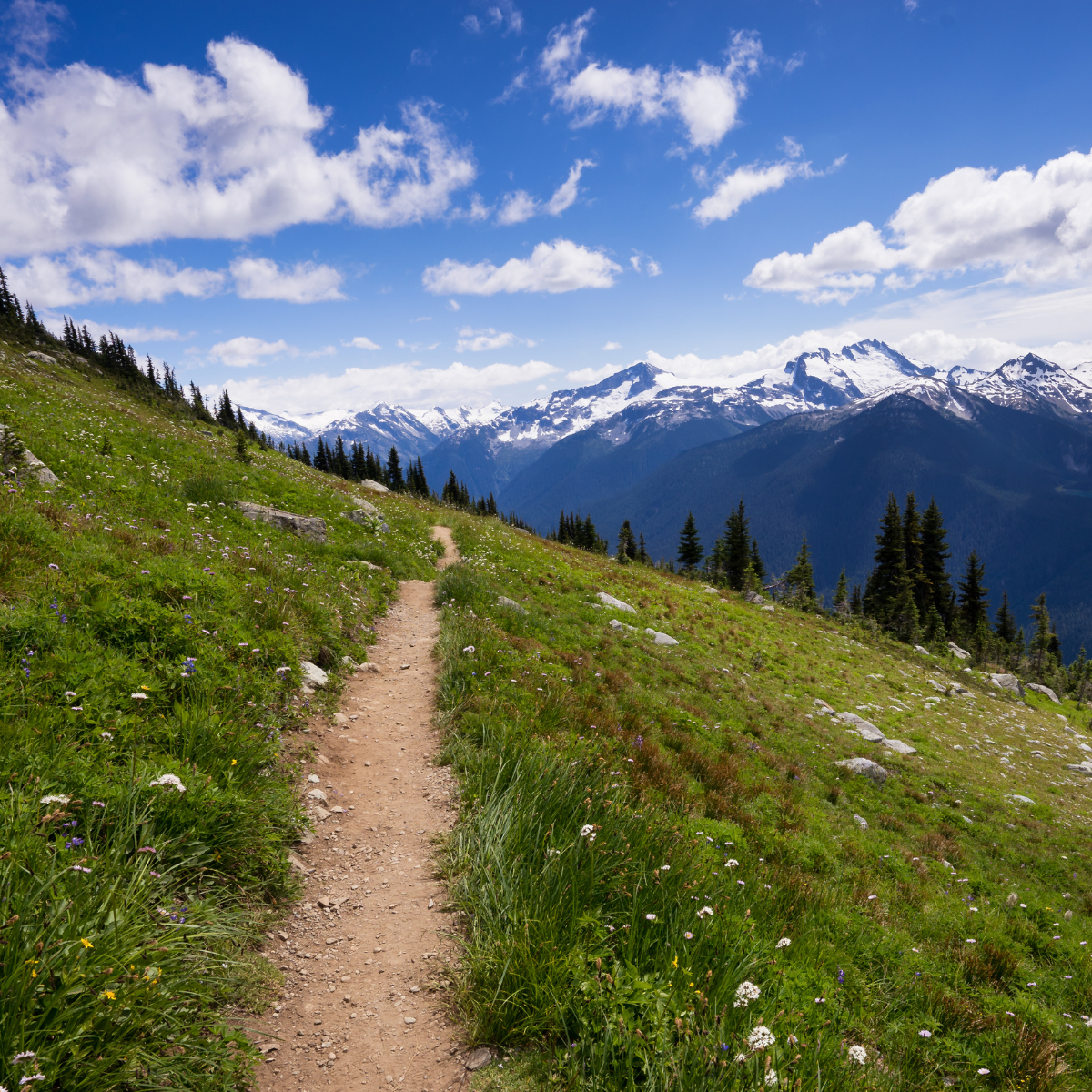 Whistler blackcomb hike