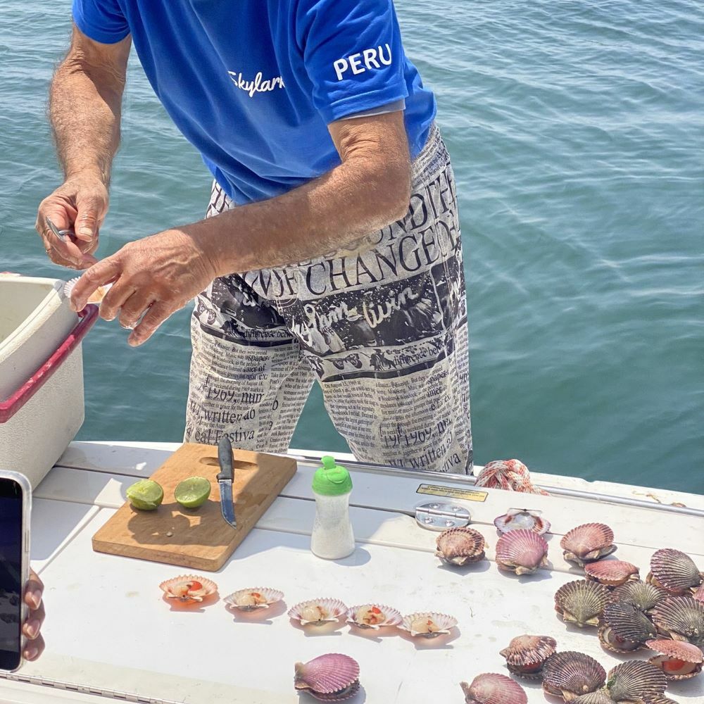 Vegetarian Article Fisherman