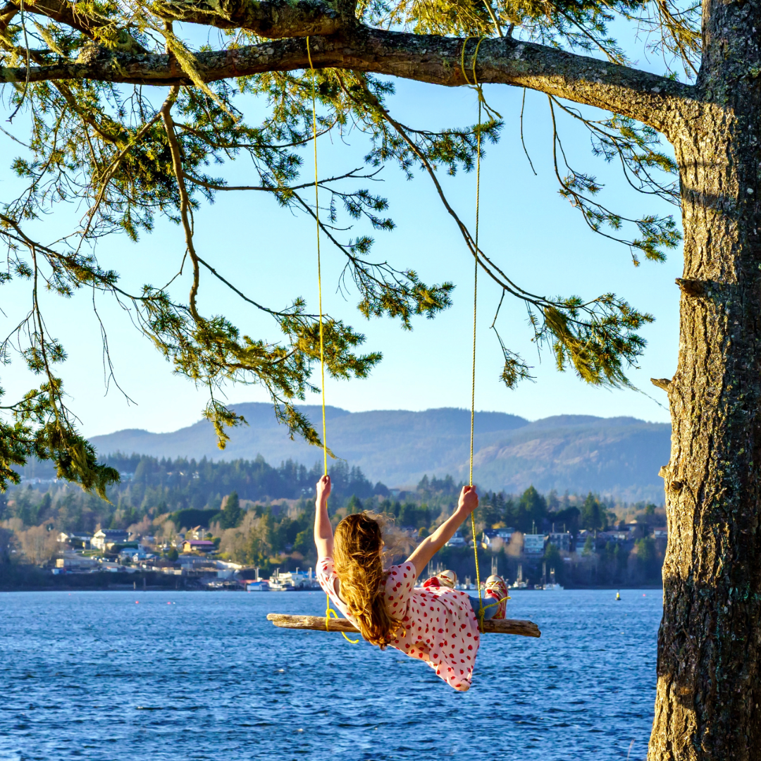 Lake rope swing