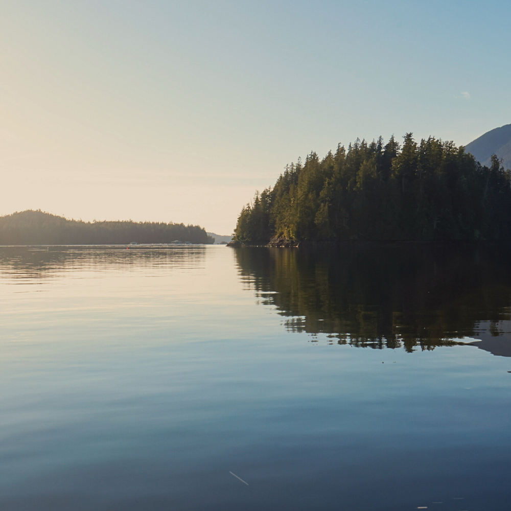 Tofino weekend image 2
