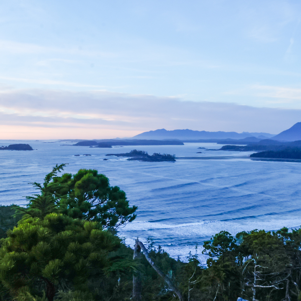 Tofino weekend image 4