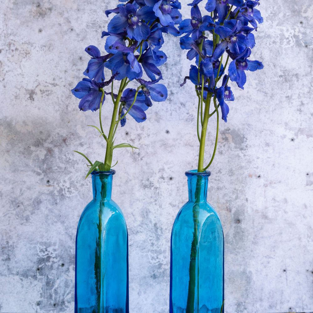 12 souvenirs image 4