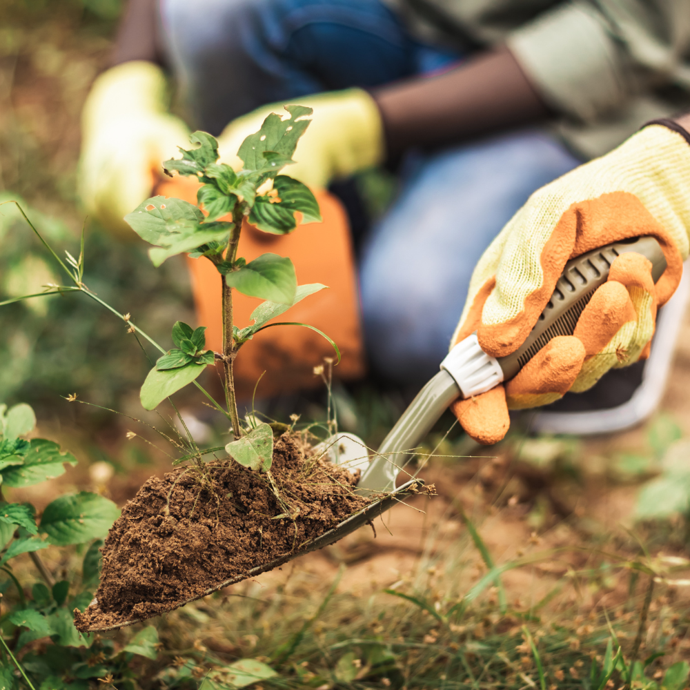 Canadian author reads photo 4