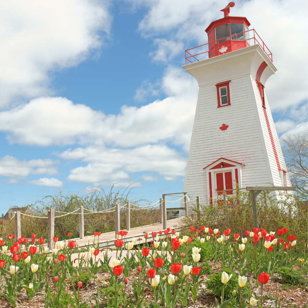 Canadian author reads photo 5