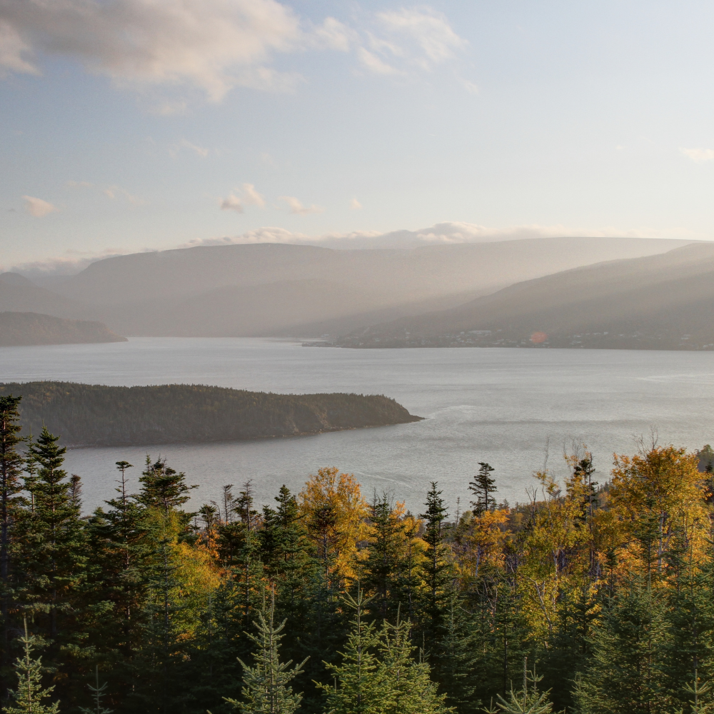 13 canadian experience photo1