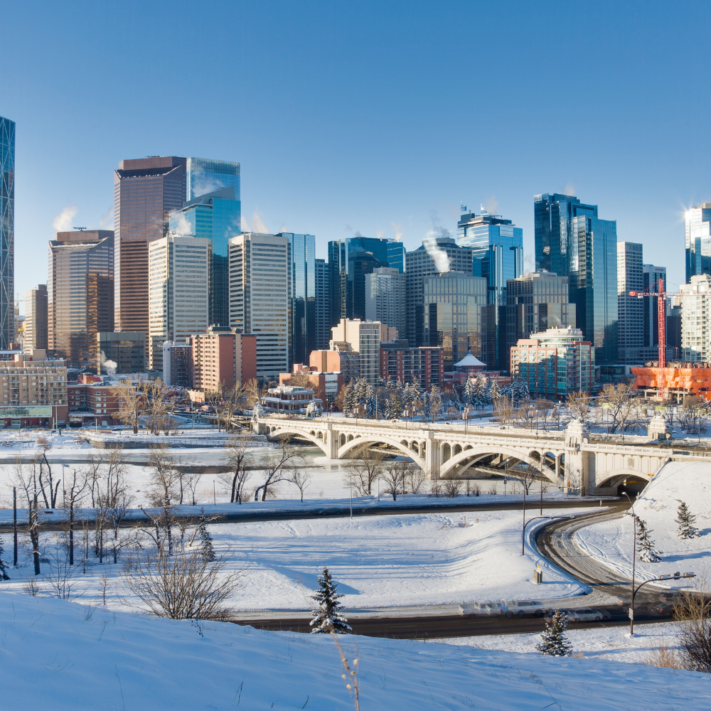 Fun things to do in calgary photo 3